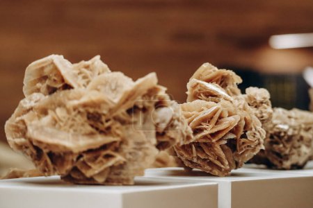 A desert rose, an intricate rose-like formation of crystal clusters of gypsum or baryte, which include abundant sand grains.