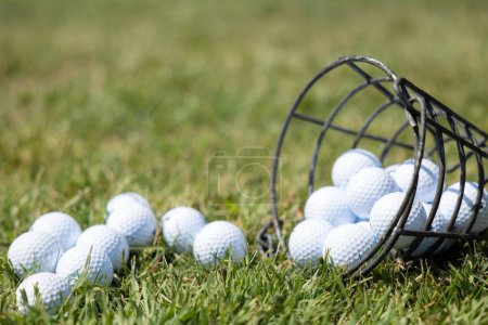 Photo for Golf ball on tee and golf balls in basket on green grass for practice. Sports equipment - Royalty Free Image