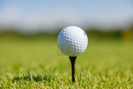 Téléchargez les photos : Balle de golf sur un stand de balle de golf à Greenfield. Gros plan balle debout sur le gazon - en image libre de droit