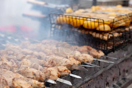 Many kebabs are prepared on the grill. Street food. Picnic