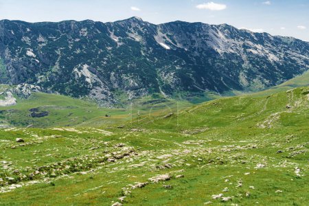 Photo for Montenegro. Durmitor National Park. Saddle Pass. Alpine meadows. Mountain landscape. Popular tourist spot - Royalty Free Image