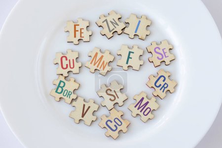Set of puzzles on a plate with 13 essential micronutrients with multicolored inscriptions icons. Fe, Zn, I, Cu, Me, F, Se, Bor, Si, Cr, V, Co, Mo. Biologically important elements. The concept of