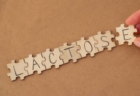Téléchargez les photos : The word written on the wooden puzzles lettering is Lactose. A woman is putting a puzzle together - en image libre de droit