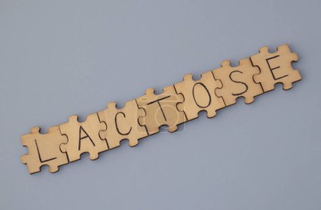 Téléchargez les photos : The word written on the wooden puzzles lettering is Lactose. On a blue background - en image libre de droit