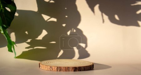 Photo for Banner with a catwalk on a beige background with the shade of a tropical plant. Free space for your bottle or vial - Royalty Free Image