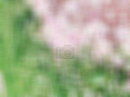 Foto de Mitad del fondo rosa, la otra mitad verde, degradado con patrón. - Imagen libre de derechos