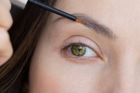 Téléchargez les photos : L'huile cosmétique pour la croissance des sourcils est appliquée à un gros plan sur les sourcils des femmes. Traitement des sourcils. - en image libre de droit