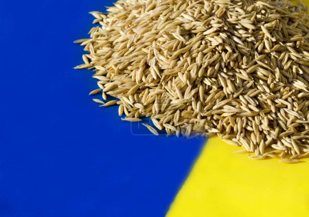 Foto de La avena yace en la bandera ucraniana. Crisis mundial del grano causada por el concepto de guerra ruso-ucraniana - Imagen libre de derechos