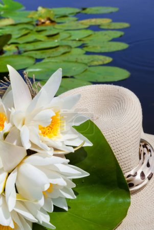 White water lilies and a straw hat against the background of a blue river. Relaxing in a boat on the Konka River.