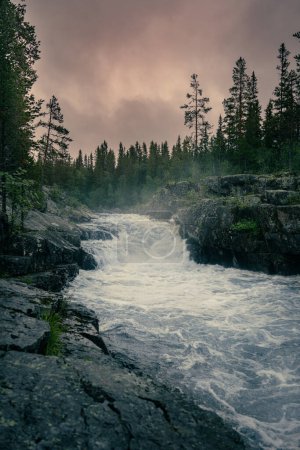 Twilight Above the Rapids in Nordic Nature Forest. Dusk descends on tumultuous waterfall cutting through a foggy woodlands in Dalarna, Sweden.