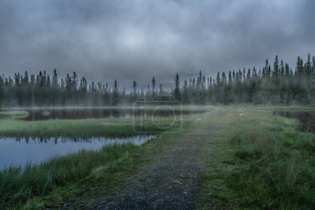 Téléchargez les photos : Matin brumeux au bord de l'étang serein à Sjusjoen, Norvège - Un réveil paisible de la forêt. Tôt le matin, la brume plane au-dessus d'un étang calme entouré par les bois denses - en image libre de droit