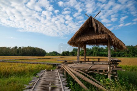 Téléchargez les photos : Gros plan d'une cabane en bambou dans les rizières dorées, les fermes biologiques et l'agriculture avec ciel bleu et paysage nuageux en Thaïlande. Rizières mûres prêtes pour la récolte. - en image libre de droit