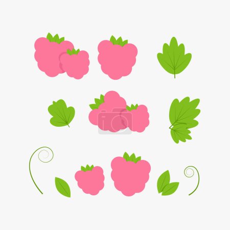 Foto de Set of pink raspberries in different combinations and green raspberry leaves - Imagen libre de derechos