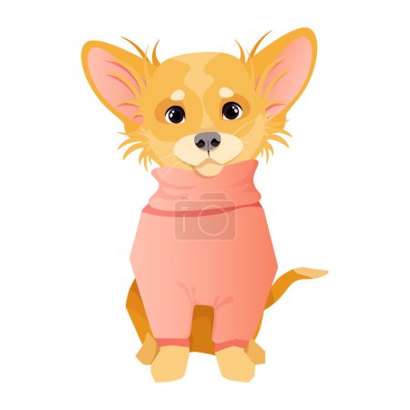 Foto de Little cute chihuahua dog in a pink sweater - Imagen libre de derechos