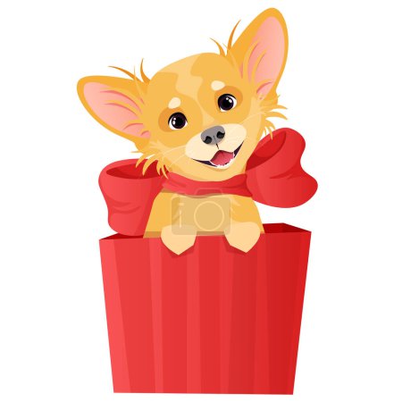 Foto de Little cute chihuahua dog sits in a red gift box - Imagen libre de derechos