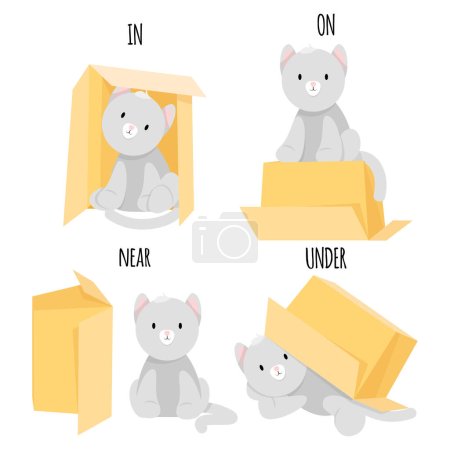 Illustration for Cute gray cat sits on, under, near and in a cardboard box - Royalty Free Image