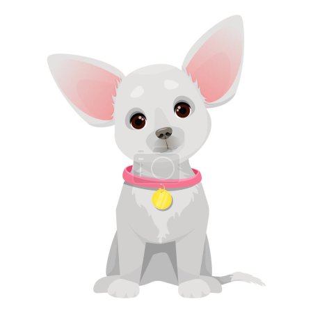 Foto de Small cute chihuahua dog with pink collar - Imagen libre de derechos