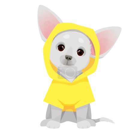 Foto de Gray small chihuahua dog in a yellow raincoat - Imagen libre de derechos