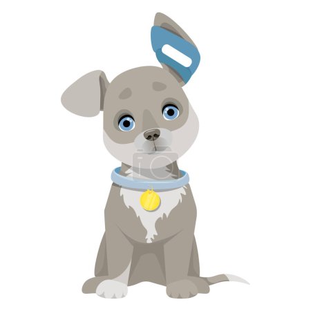 Illustration for Small gray dog sitting with bandaged ear - Royalty Free Image