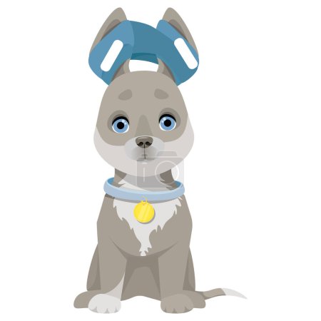 Illustration for Little gray puppy sits with two bandaged ears - Royalty Free Image
