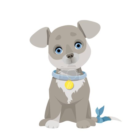 Foto de Little gray puppy with a bandaged tail - Imagen libre de derechos