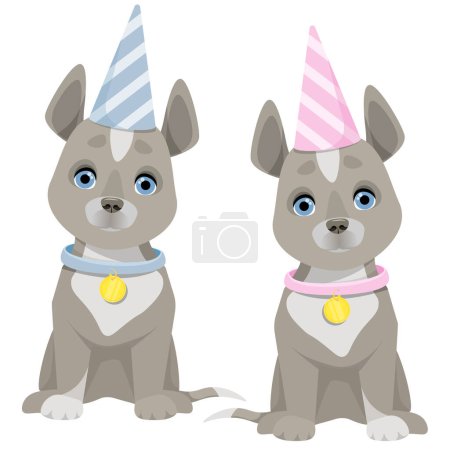 Foto de Set of two gray dogs with different striped birthday hats - Imagen libre de derechos