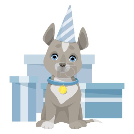 Foto de A gray cute dog sits in a cap and behind blue boxes with gifts - Imagen libre de derechos