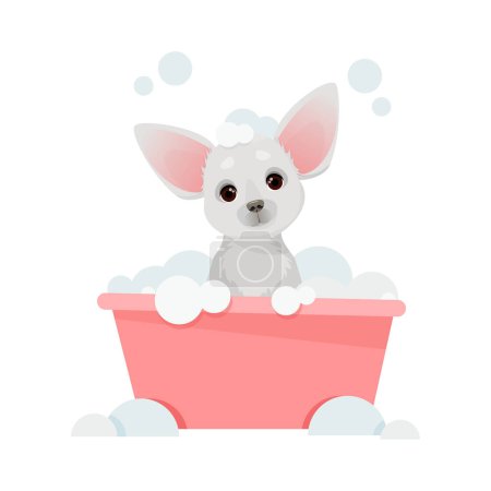 Foto de Little cute dog sits in a bowl and washes - Imagen libre de derechos