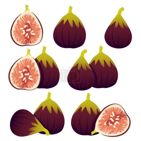 Set of halved and whole figs