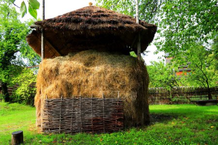 Photo for Pile of hay on agricultural farm, harvest time, dried grass straw, mountain of hay under wooden roof - Royalty Free Image