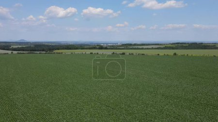 Foto de Terreno en venta e inversión en vista aérea. Incluir campo verde, granja agrícola. Ese inmueble o propiedad. Parcela de terreno - Imagen libre de derechos