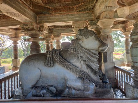 Nandi, holy cow, transport of Shiva god, popular hindu god in India, made of a granite in Halebidu, Karnataka, India