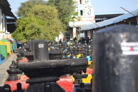 kotilingeshwara
