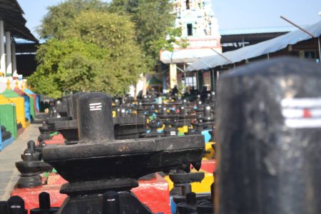 1 crore Shivalingas in (Kotilingeshwara) Karnataka, India