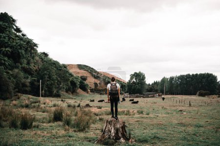 Téléchargez les photos : Jeune homme caucasien debout sur un grand tronc d'arbre coupé surplombant le paysage des vaches et des arbres sur le tramway waitawheta, Nouvelle-Zélande - concept LIfestyle - en image libre de droit