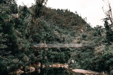 Foto de Puente colgante de hierro y madera cruzando el río tranquilo entre la selva y la vegetación forestal en la isla de los donuts, Nueva Zelanda - Concepto de estilo de vida - Imagen libre de derechos