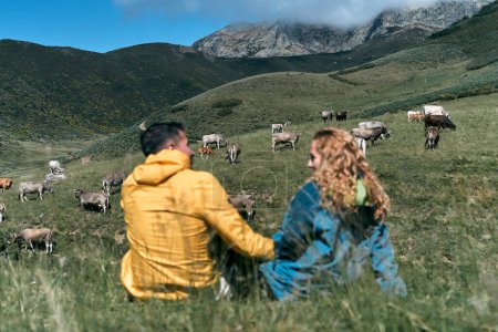 Téléchargez les photos : Couple hétérosexuel en veste jaune et bleue tenant la main assis sur herbe prairie à côté de vaches, ruta del cares asturias, espagne - Lieux traditionnels espagnols - en image libre de droit