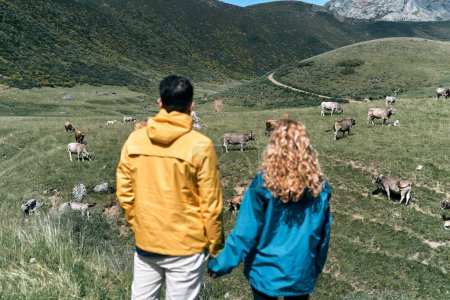 Téléchargez les photos : Garçon aux cheveux bruns avec veste jaune et fille blonde avec veste bleue hors foyer par derrière tenant la main debout contemplant les vaches dans la vallée, ruta del cares asturias, espagne - Espagnol - en image libre de droit