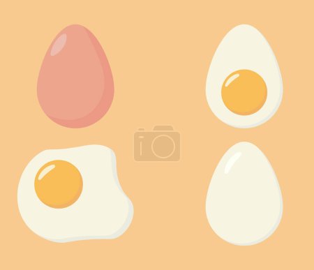 Foto de Huevos en varias formas. Conjunto de frito, hervido, mitad, ilustración vectorial. Huevos en varias formas. Huevo de dibujos animados aislado sobre fondo blanco - Imagen libre de derechos