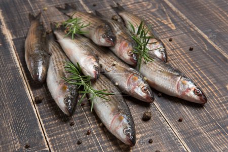 Photo for Pile of freshly caught mullet, spices and green sprigs of rosemary, on wooden boards, rustic style, selective focus - Royalty Free Image