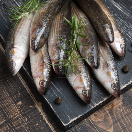 Photo for A bunch of fresh mullet lies on a black board, surrounded by spices and rosemary sprigs, close-up shot - Royalty Free Image