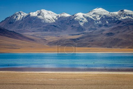 Photo for Turquoise laguna Miscanti, salt lake in Atacama desert, volcanic landscape, Chile, South America - Royalty Free Image