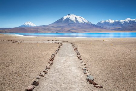Foto de Laguna turquesa Miscanti, lago salado en el desierto de Atacama, paisaje volcánico, Chile, América del Sur - Imagen libre de derechos