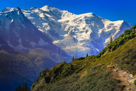 Téléchargez les photos : Mont Blanc massif paysage alpin idyllique campagne par temps ensoleillé, Chamonix, Alpes françaises - en image libre de droit