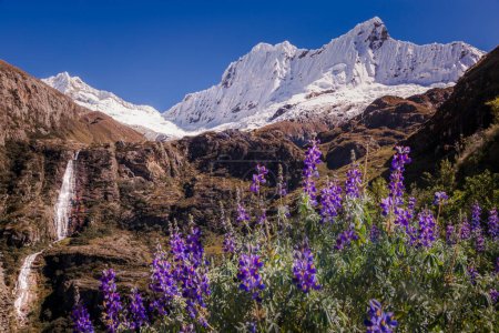 Téléchargez les photos : Cascade et massif montagneux Huascaran en Cordillère Blanca, Andes enneigées, Ancash, Pérou, Amérique du Sud - en image libre de droit