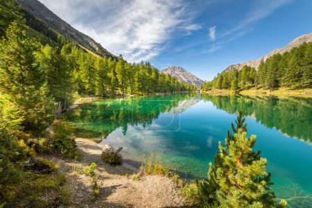 Téléchargez les photos : Lac alpin Palpuogna à Albula Pass à Graubunden Alpes suisses, Grisons, Suisse - en image libre de droit