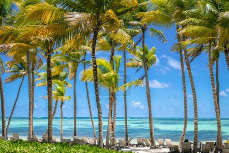 Foto de Bavaro Playa tropical en Punta Cana en día soleado, Mar Caribe, República Dominicana - Imagen libre de derechos