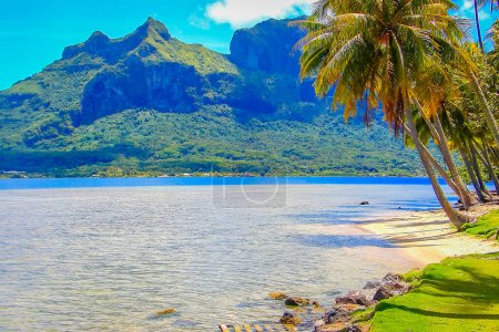 Téléchargez les photos : Moorea Paradis tropical, Plage idyllique turquoise et ensoleillée en Polynésie française, Tahiti - en image libre de droit