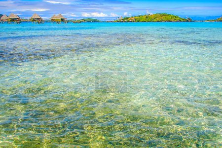 Foto de Bora Bora Paraíso tropical, idílica playa turquesa y soleada en la Polinesia Francesa, Tahití - Imagen libre de derechos