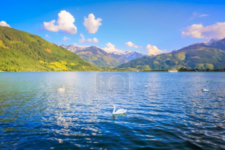 Foto de Zell am See and lake idyllic alpine landscape in Carinthia, Austria - Imagen libre de derechos